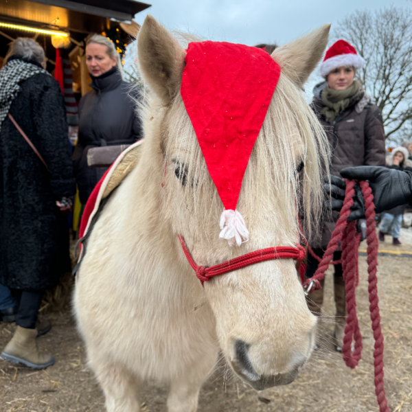 NORD Julemarked hvid pony ponyridning