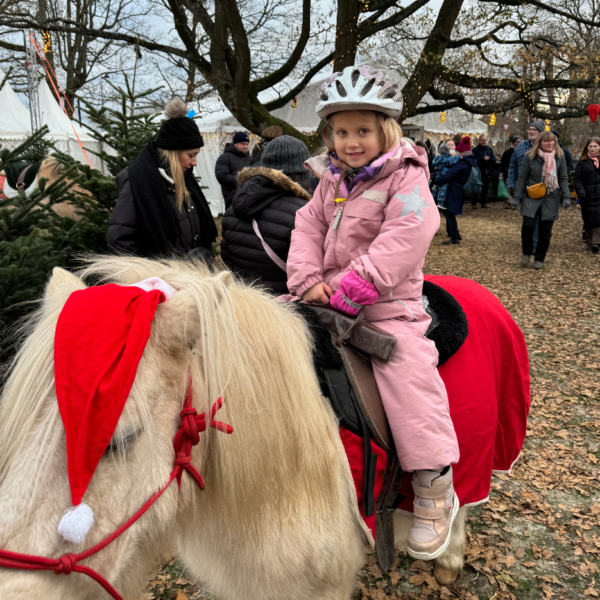 NORD Julemarked hvid pony ponyridning